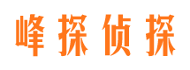 惠阳市婚外情调查